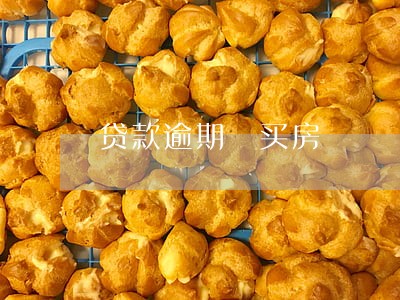 贷款逾期 买房 贷款逾期 买房